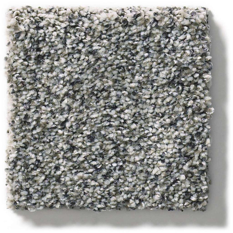 WITHIN REACH II 100% PET Polyester Carpet 12 ft. x Custom Length