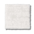 FINE STRUCTURE 100% Nylon Carpet 12 ft. x Custom Length R2X® Built-in Stain & Soil Protection, Spill-Proof Backing
