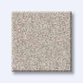 HARMONIOUS II 100% Nylon Carpet 12 ft. x Custom Length R2X® Built-in Stain & Soil Protection