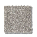 TRANSLATE 100% SD PET Polyester Carpet 12 ft. x Custom Length