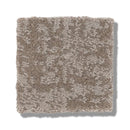 FINE STRUCTURE 100% Nylon Carpet 12 ft. x Custom Length R2X® Built-in Stain & Soil Protection, Spill-Proof Backing