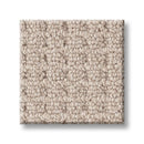 FAINT INTENT 100% Nylon Carpet 12 ft. x Custom Length R2X® Built-in Stain & Soil Protection