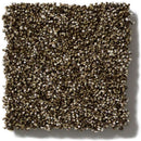 OF COURSE WE CAN III 12' 100% Pet Polyester Carpet 12 ft. x Custom Length R2X® Built-in Stain & Soil Protection