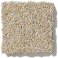 OF COURSE WE CAN II 12' 100% Pet Polyester Carpet 12 ft. x Custom Length R2X® Built-in Stain & Soil Protection