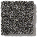 OF COURSE WE CAN I 12' 100% Pet Polyester Carpet 12 ft. x Custom Length R2X® Built-in Stain & Soil Protection