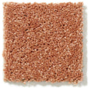 DYERSBURG CLASSIC 12' 100% Pet Polyester Carpet 12 ft. x Custom Length R2X® Built-in Stain & Soil Protection