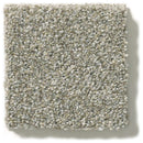 MONTAGE I 100% Pet Polyester Carpet 12 ft. x Custom Length R2X® Built-in Stain & Soil Protection