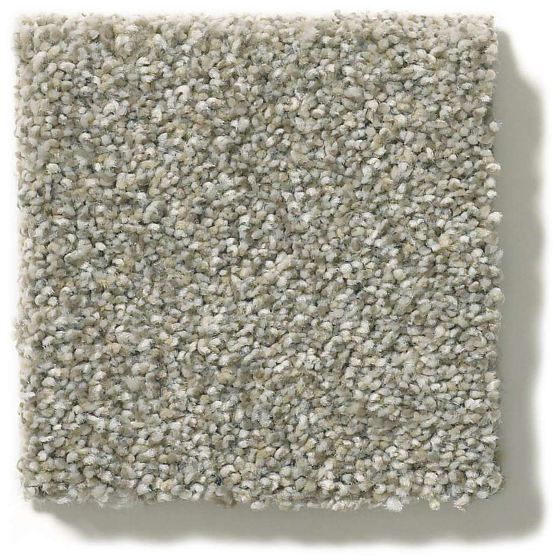 MONTAGE II 100% BCF Cleartouch PET Polyester Carpet 12 ft. x Custom Length R2X® Built-in Stain & Soil Protection