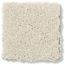 DYERSBURG CLASSIC 12' 100% Pet Polyester Carpet 12 ft. x Custom Length R2X® Built-in Stain & Soil Protection