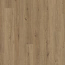 $1.89/sq. ft. ($43.37/Box) Authentic Advanced "TREND OAK NATURE" 8mm Laminate Flooring
