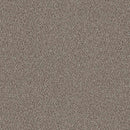 TRUSPIRIT I 100% SD PET Polyester Carpet 12 ft. x Custom Length