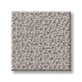 LOOP DE LOOP 100% SD PET Polyester Carpet 12 ft. x Custom Length