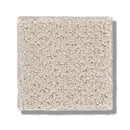 MAINSTAY 100% Nylon Carpet 12 ft. x Custom Length R2X® Built-in Stain & Soil Protection