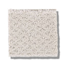 MAINSTAY 100% Nylon Carpet 12 ft. x Custom Length R2X® Built-in Stain & Soil Protection