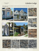 Golden Grey - Caledon Ledge