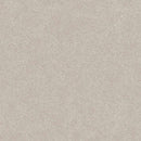 HARMONIOUS II 100% Nylon Carpet 12 ft. x Custom Length R2X® Built-in Stain & Soil Protection