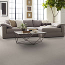 MONTAGE I 100% Pet Polyester Carpet 12 ft. x Custom Length R2X® Built-in Stain & Soil Protection