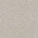 MONTAGE II 100% BCF Cleartouch PET Polyester Carpet 12 ft. x Custom Length R2X® Built-in Stain & Soil Protection