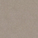 MONTAGE I 100% Pet Polyester Carpet 12 ft. x Custom Length R2X® Built-in Stain & Soil Protection