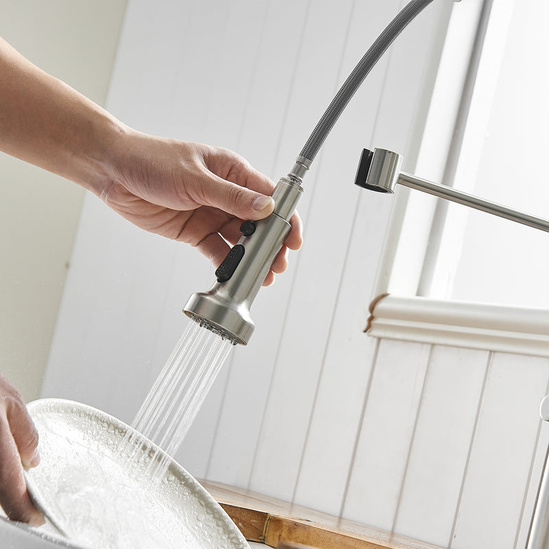 Brushed Nickel Single-Handle Kitchen Faucet 1167-33N