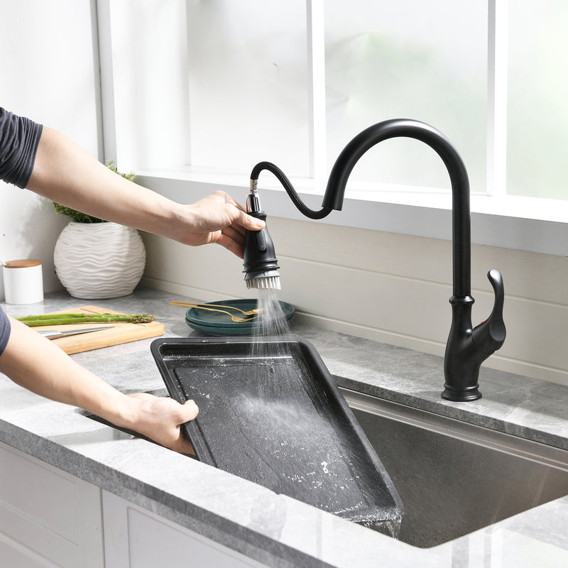 Black Single-Handle Kitchen Faucet 1176-33B