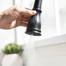 Brushed Nickel Single-Handle Kitchen Faucet 1176-33N