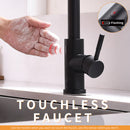 Black Single-Handle Kitchen Faucet IS1252-33B-1D-1