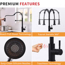 Black Single-Handle Kitchen Faucet IS1252-33B-1D-1