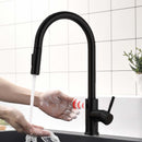 Brushed Nickel Single-Handle Kitchen Faucet IS1256-33B