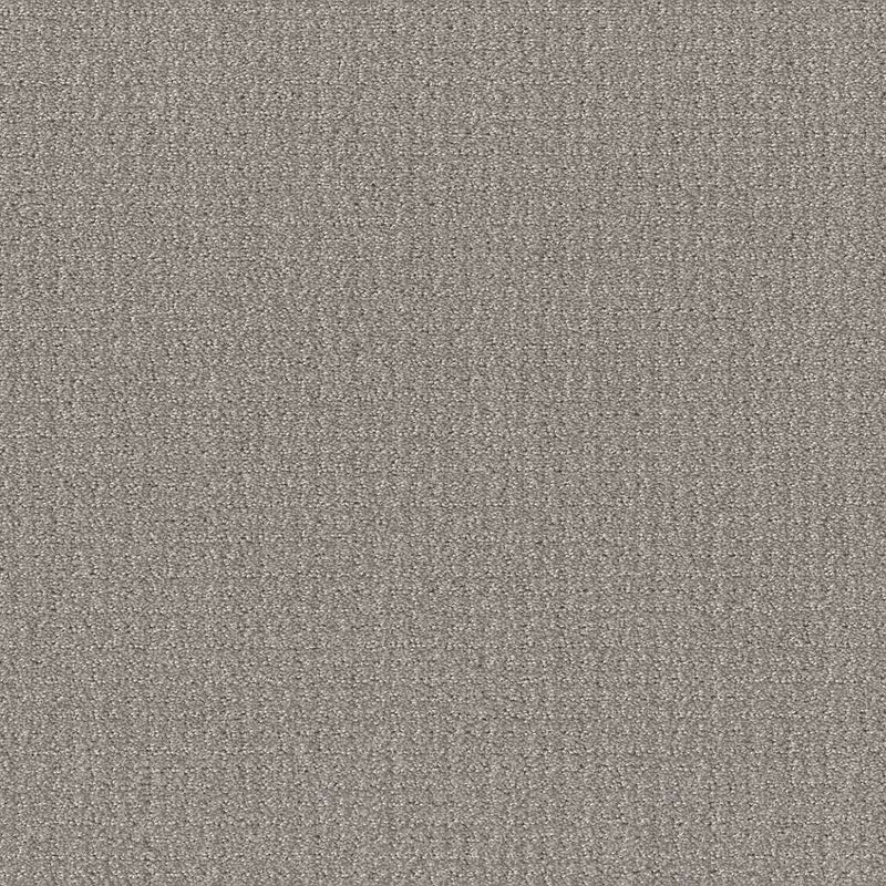 TRANSLATE 100% SD PET Polyester Carpet 12 ft. x Custom Length