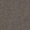 WITHIN REACH II 100% PET Polyester Carpet 12 ft. x Custom Length